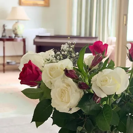 Georgian House Boutique B&B-3